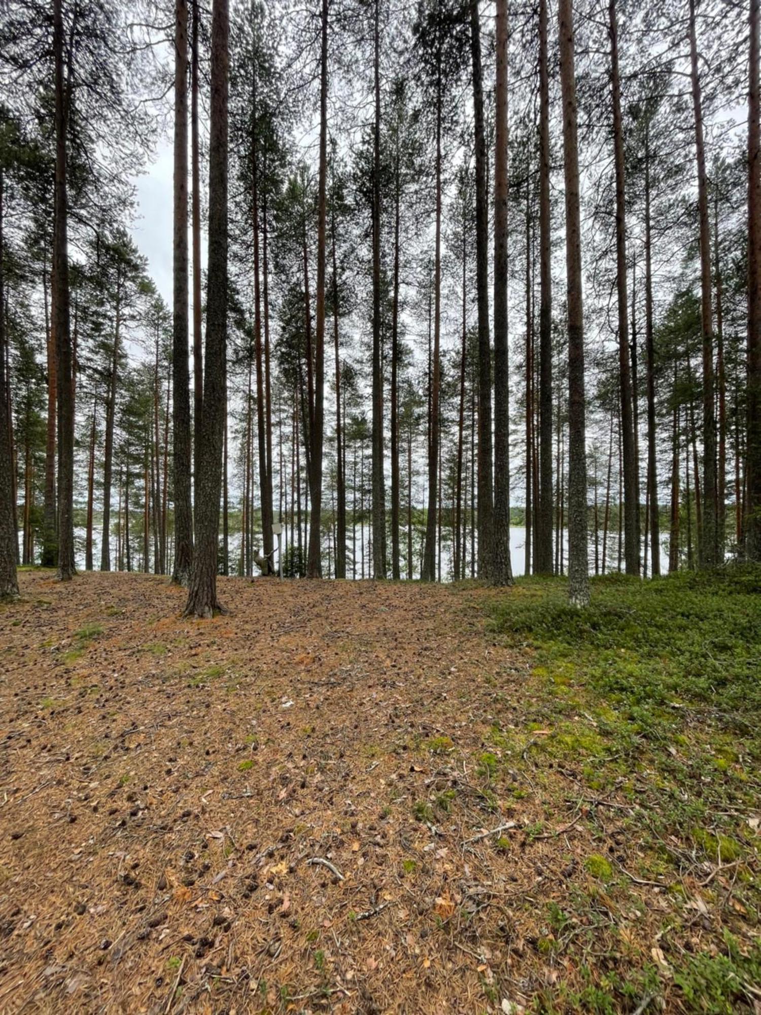 Laahtanen Camping Ristijarvi Ngoại thất bức ảnh