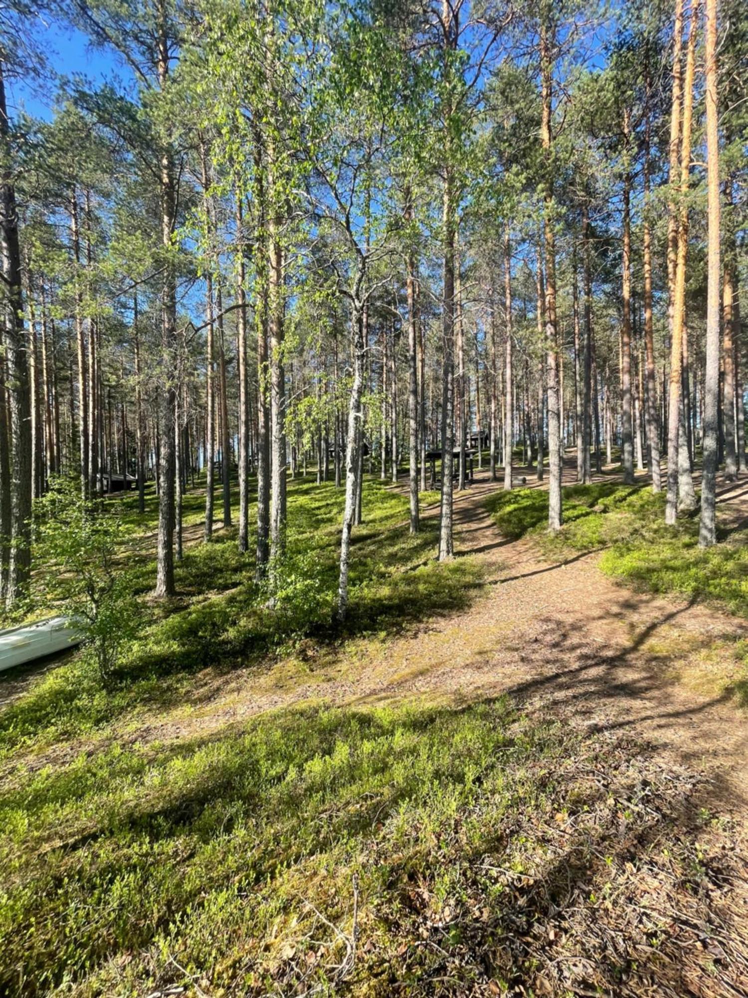 Laahtanen Camping Ristijarvi Ngoại thất bức ảnh