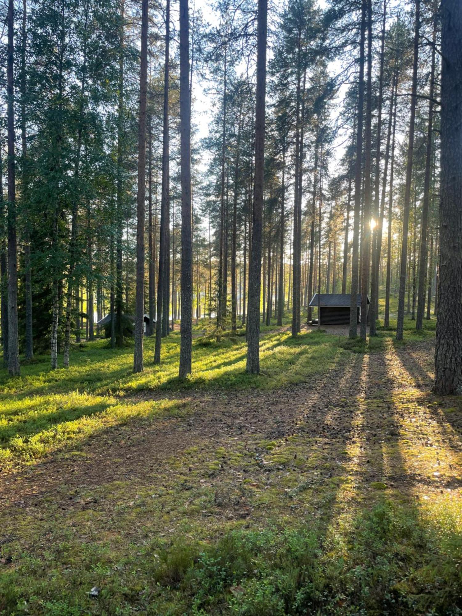 Laahtanen Camping Ristijarvi Ngoại thất bức ảnh