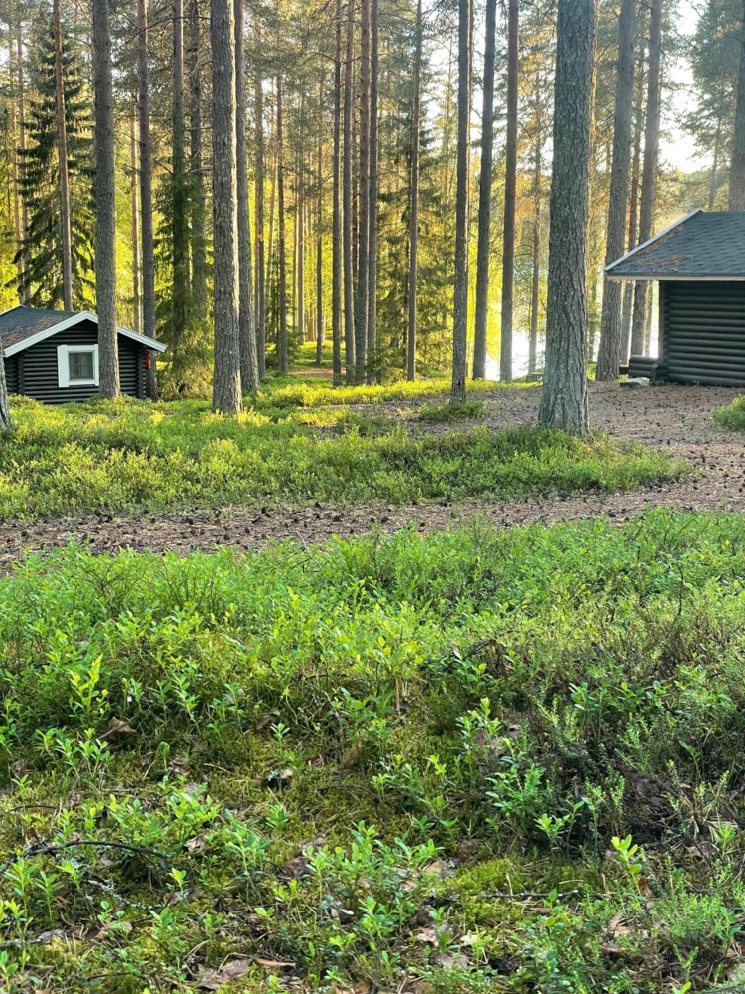 Laahtanen Camping Ristijarvi Ngoại thất bức ảnh
