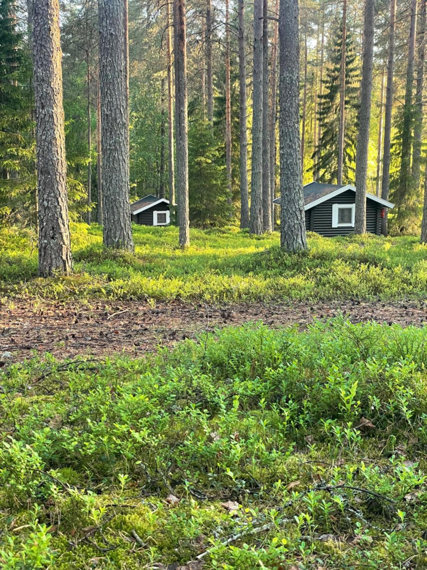 Laahtanen Camping Ristijarvi Ngoại thất bức ảnh