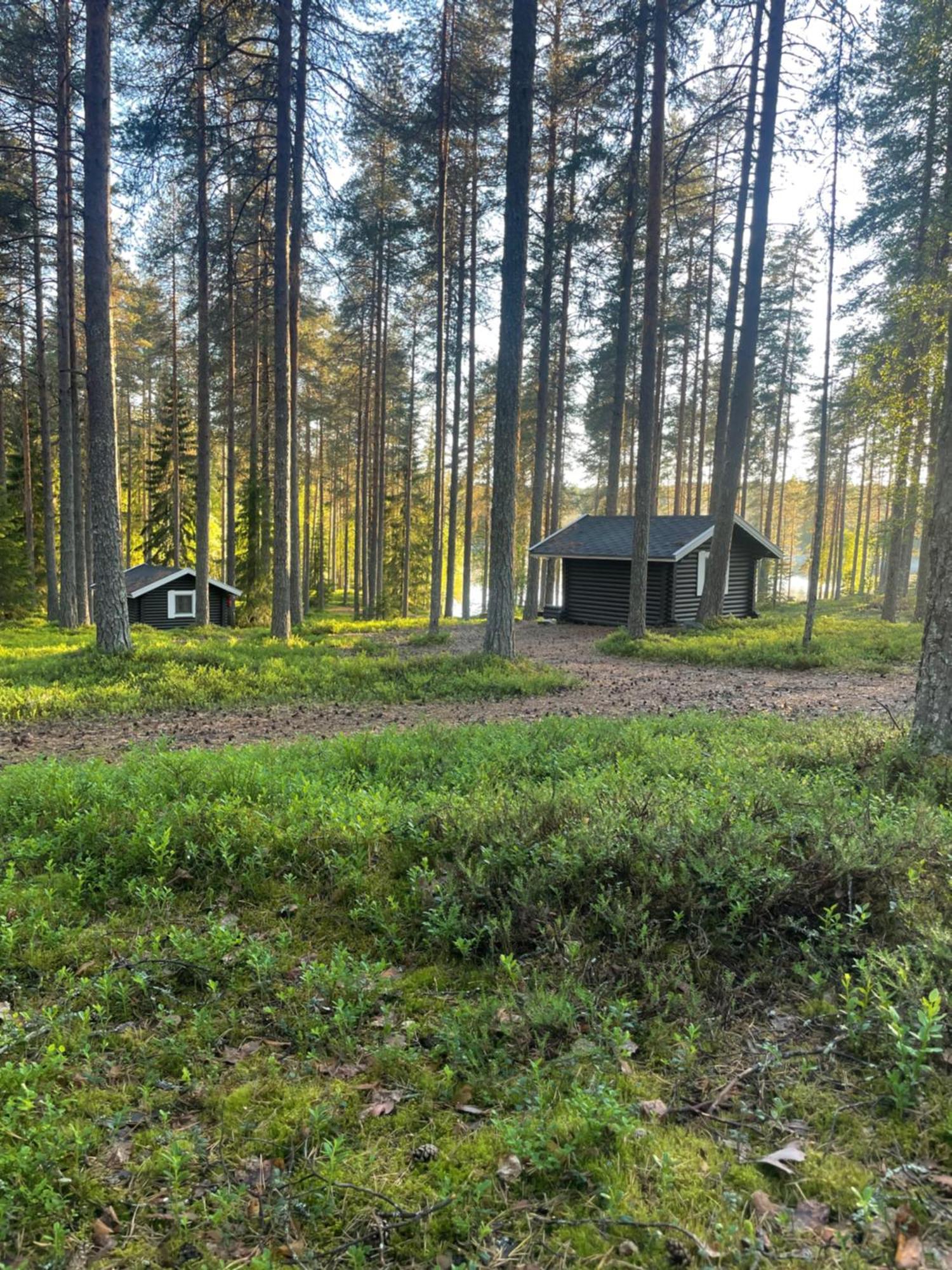 Laahtanen Camping Ristijarvi Ngoại thất bức ảnh