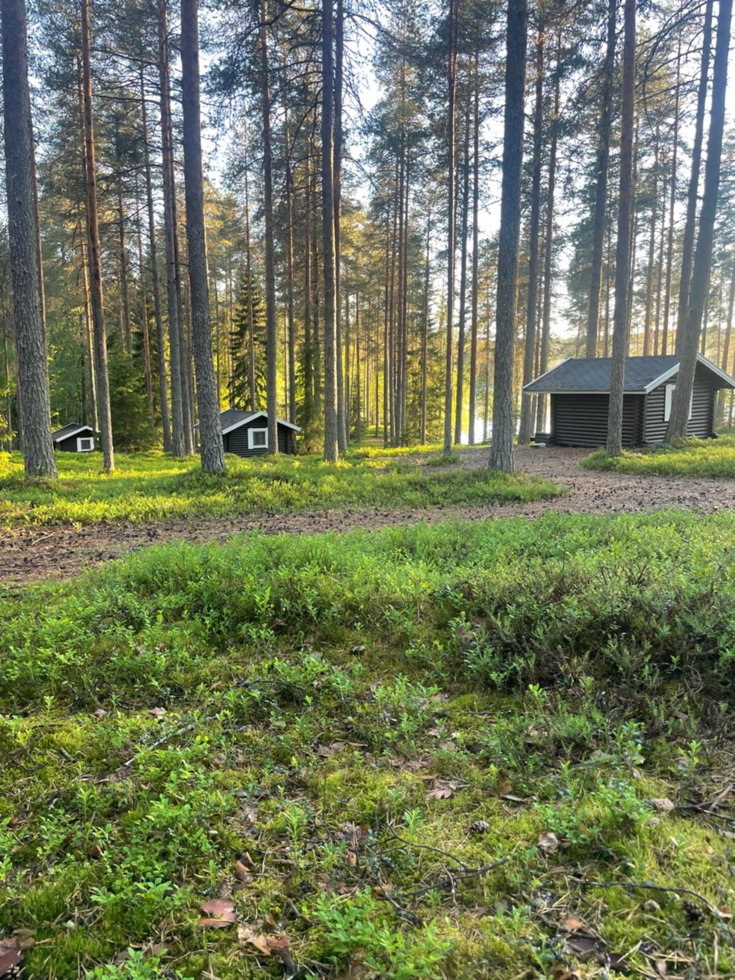 Laahtanen Camping Ristijarvi Ngoại thất bức ảnh