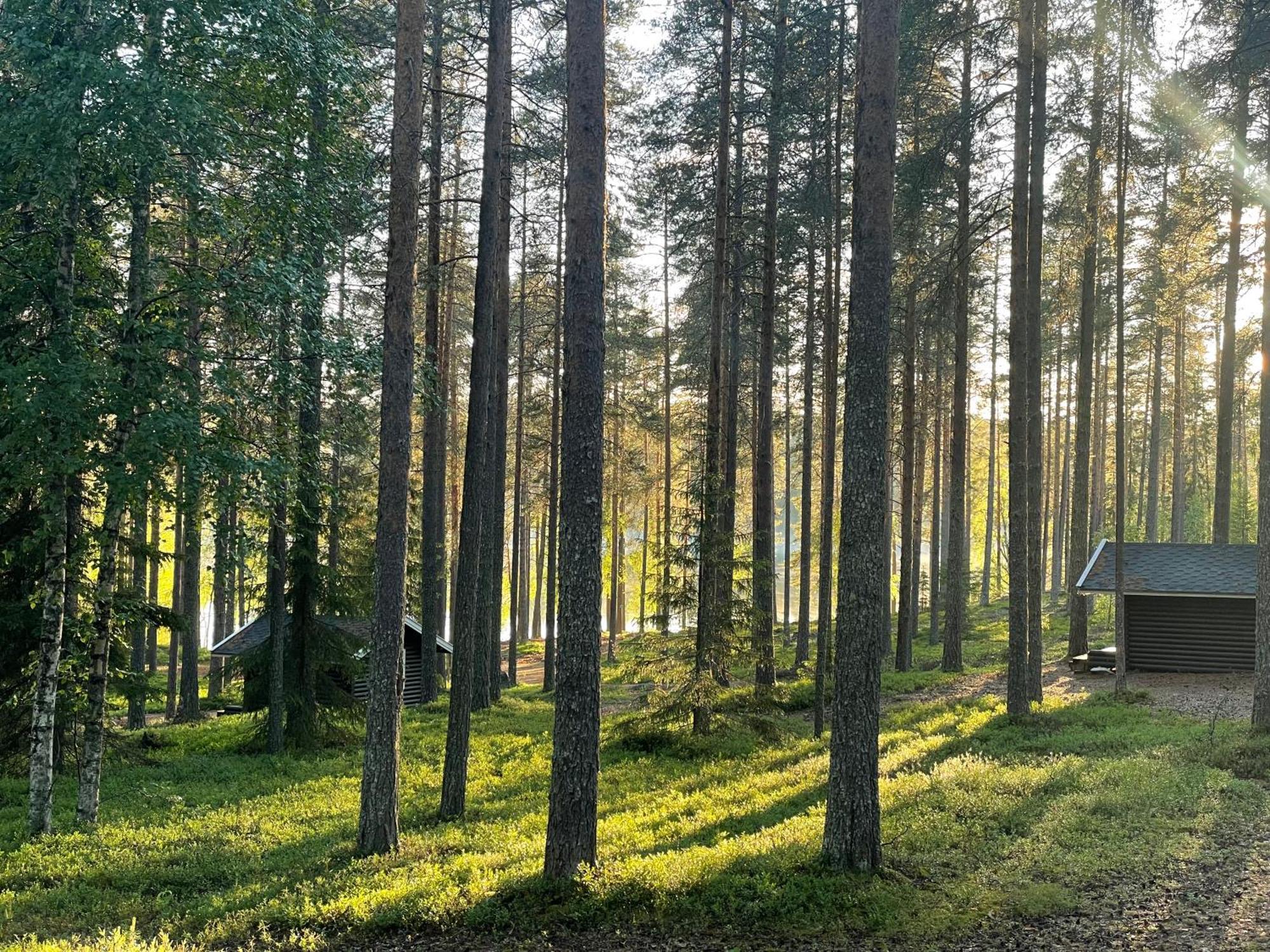 Laahtanen Camping Ristijarvi Ngoại thất bức ảnh